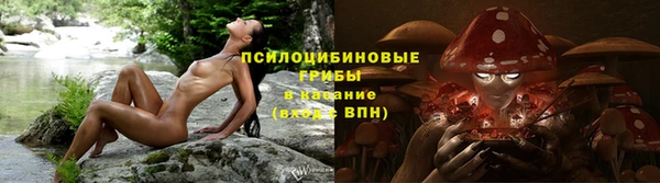 apvp Балахна