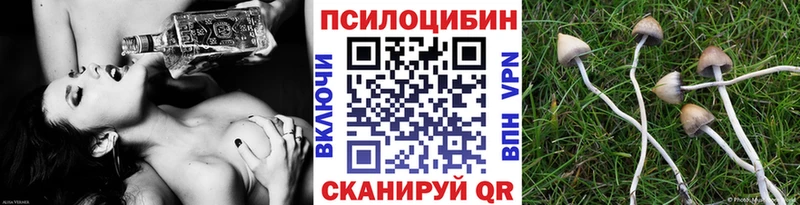 Галлюциногенные грибы Psilocybine cubensis  Купить где  Приморско-Ахтарск 